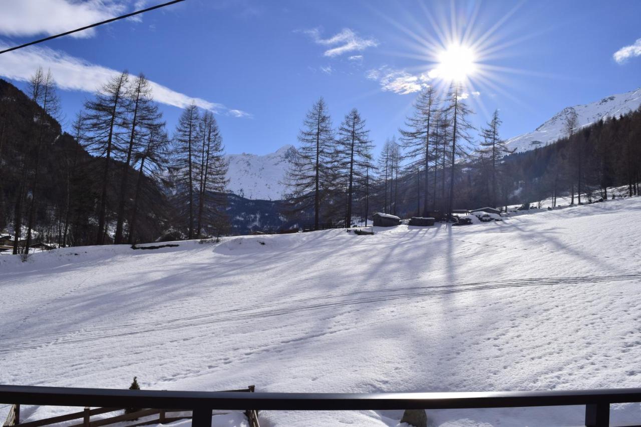 Apart Auszeit Sölden Dış mekan fotoğraf