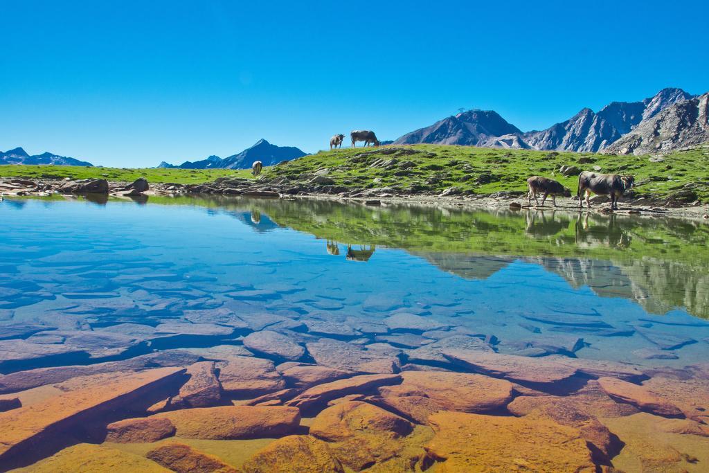 Apart Auszeit Sölden Dış mekan fotoğraf