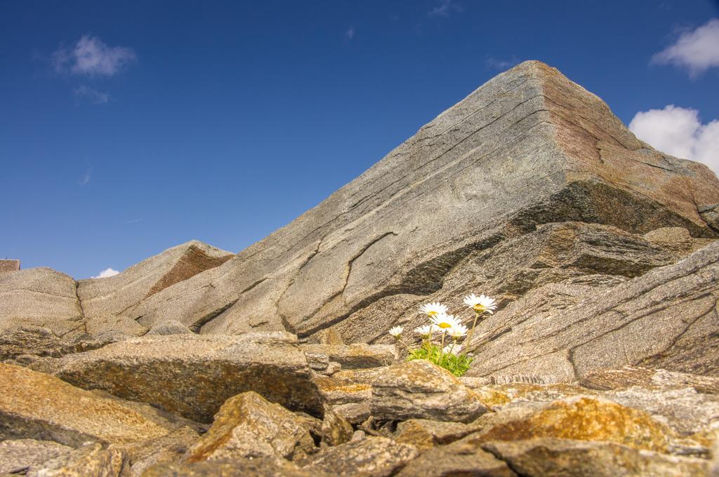 Apart Auszeit Sölden Dış mekan fotoğraf