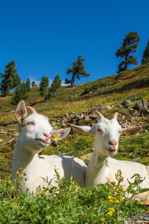 Apart Auszeit Sölden Dış mekan fotoğraf