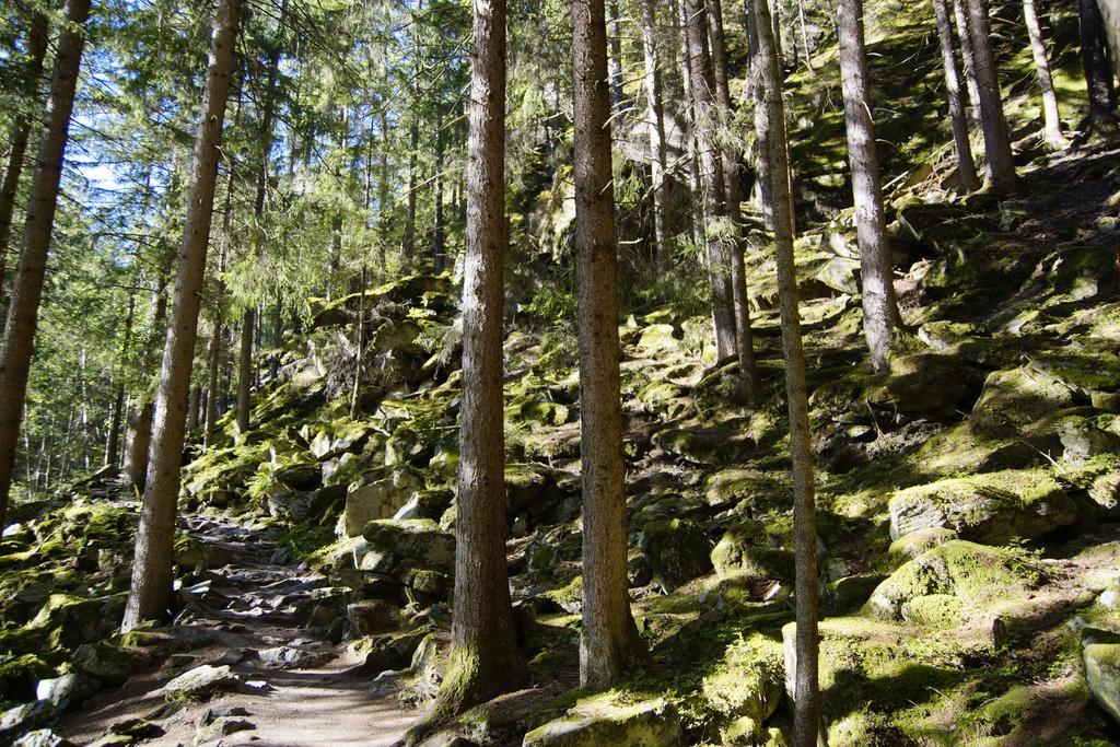 Apart Auszeit Sölden Dış mekan fotoğraf